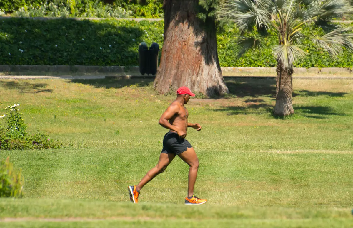 Runner training at a steady pace through a sunlit park