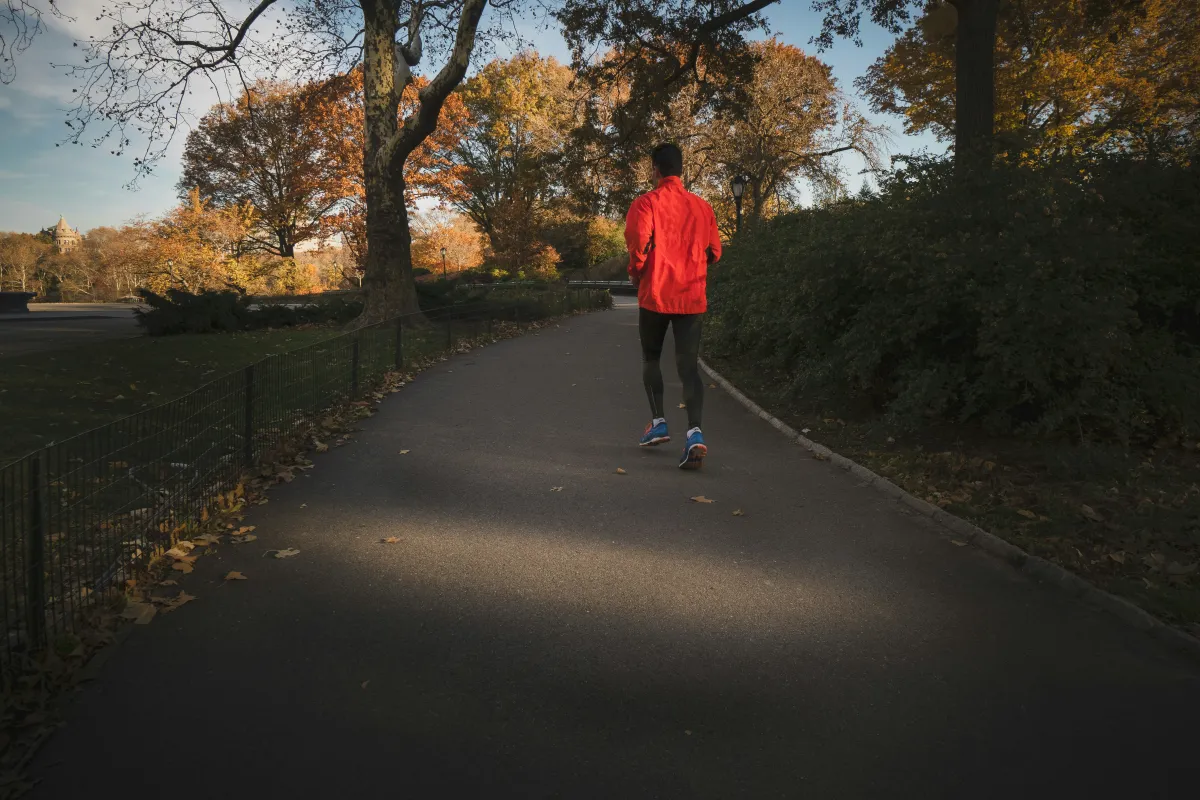Person jogging on a park path during autumn