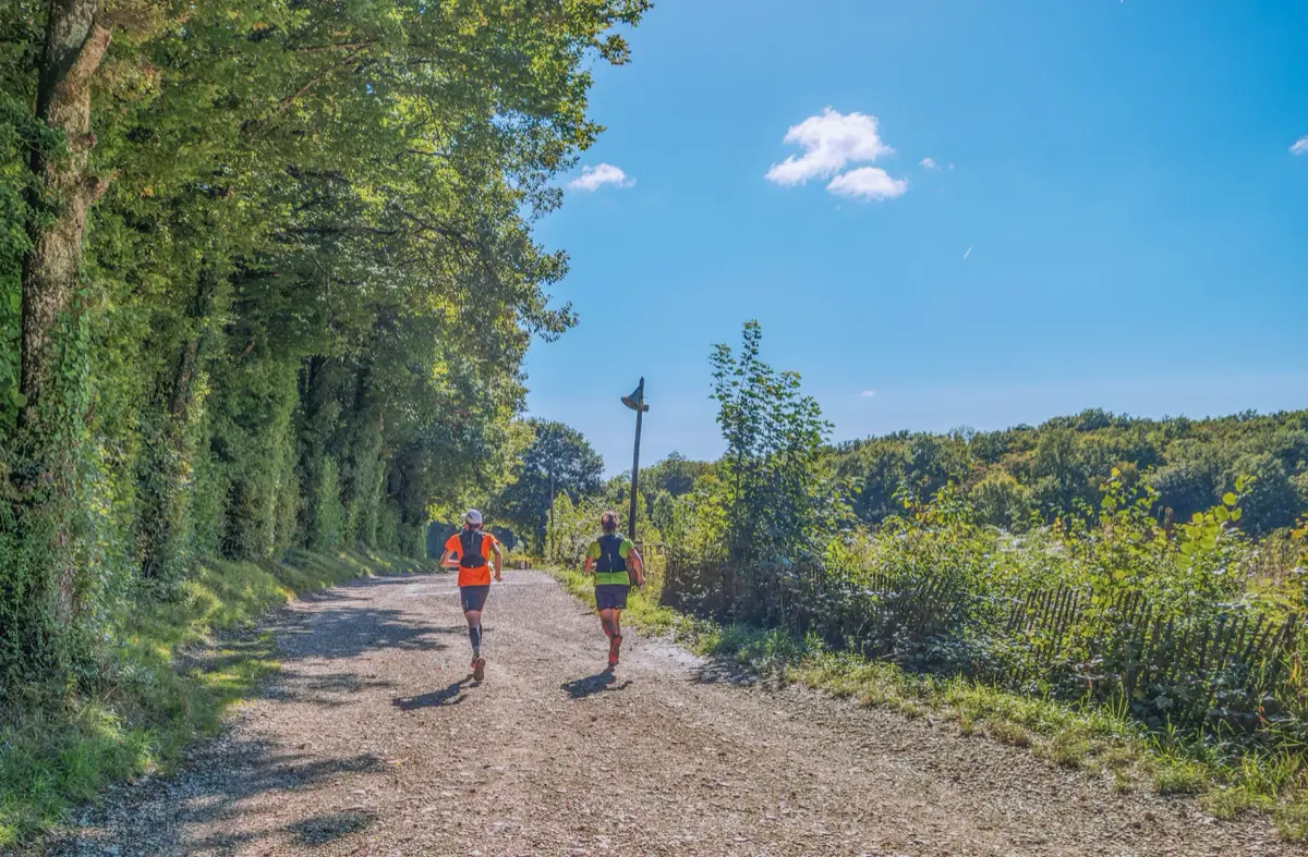 Two runners jogging at a relaxed pace on a sunny nature trail